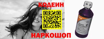 стаф Дубна