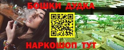 стаф Дубна
