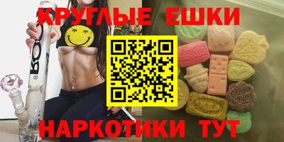 стаф Дубна